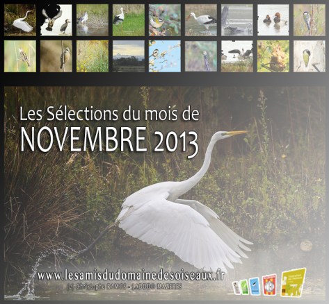 Les Sélections NOV 2013