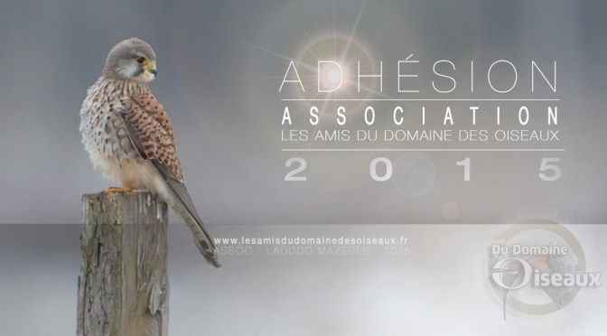 Adhésion à l&rsquo;association pour l&rsquo;année 2015