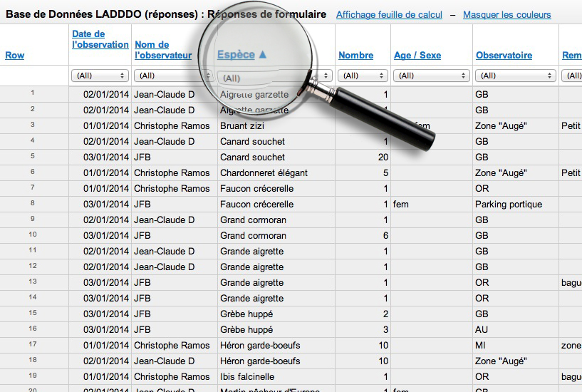 classement-alpha-bouton-selection