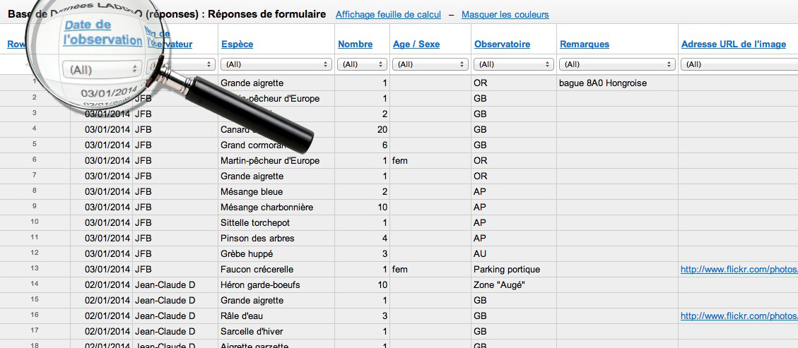 classement par date d'observation