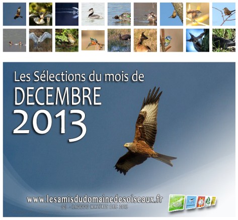 Les Sélections DEC 2013