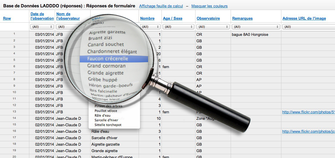 menu-bouton-selection