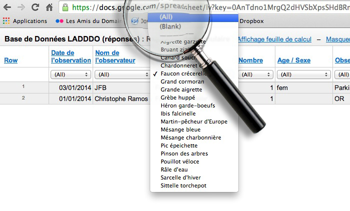 retour-recherche-liste-faucon