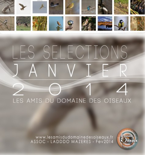 Les Sélections JAN 2014