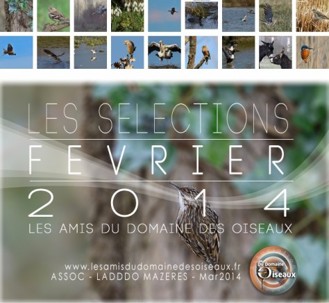 Les Sélections FEV 2014