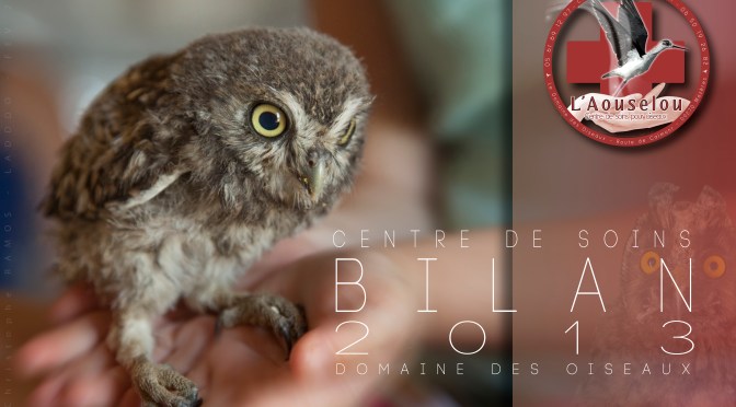 Centre de Soins – BILAN 2013