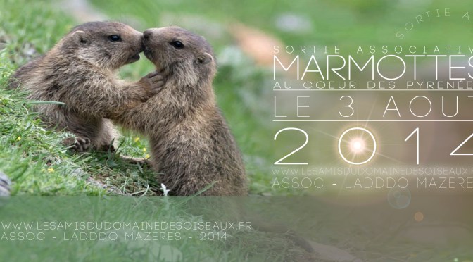 Sortie associative – Les Marmottes – 3 Aout 2014