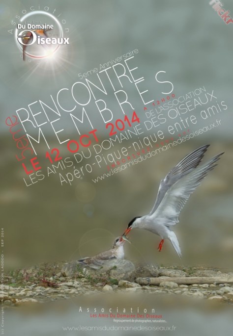 Rencontre-membres2014-affiche