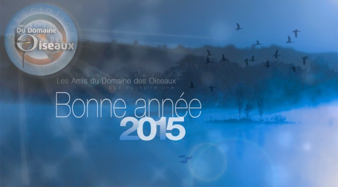 BONNE ANNEE 2015