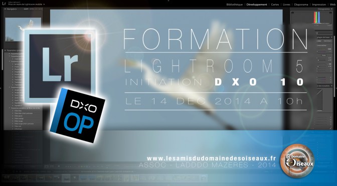 Formation Lightroom & DXO + Goûter de Noël