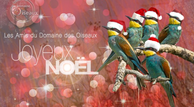 Joyeux Noël – Les Amis du Domaine Des Oiseaux