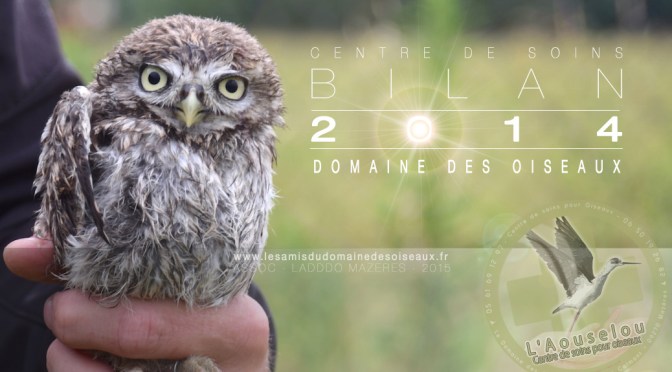 Centre de soins – Bilan 2014