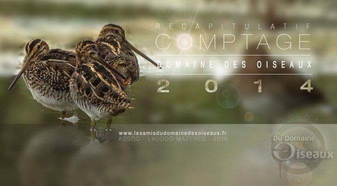 Observations espèces DOMAINE DES OISEAUX année 2014