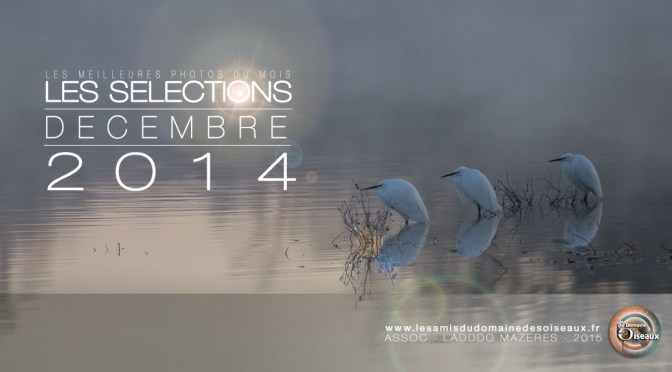 Sélections photos DECEMBRE 2014