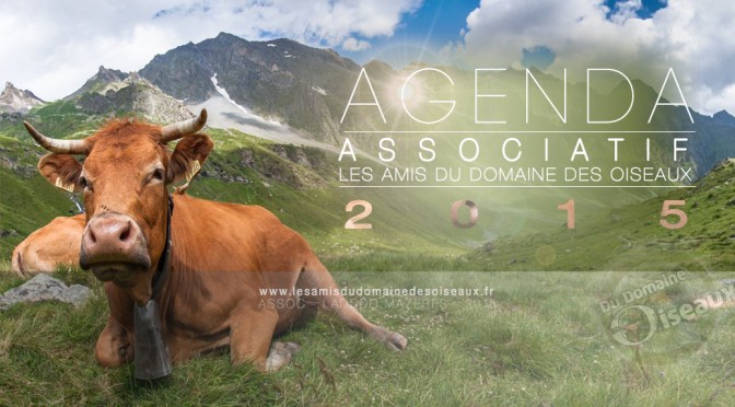 Agenda associatif 2015