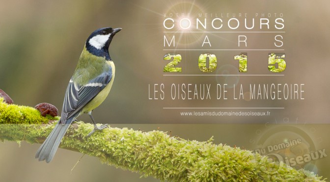 Concours photo – MARS 2015