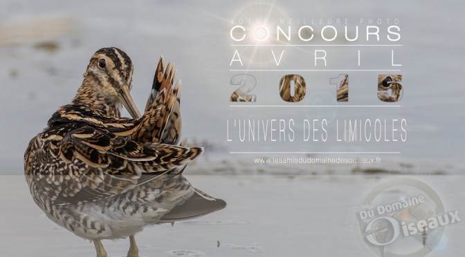 Concours photo – AVRIL 2015