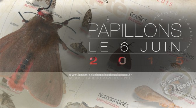 Activité associative – Soirée Papillons de nuit 6 juin 2015