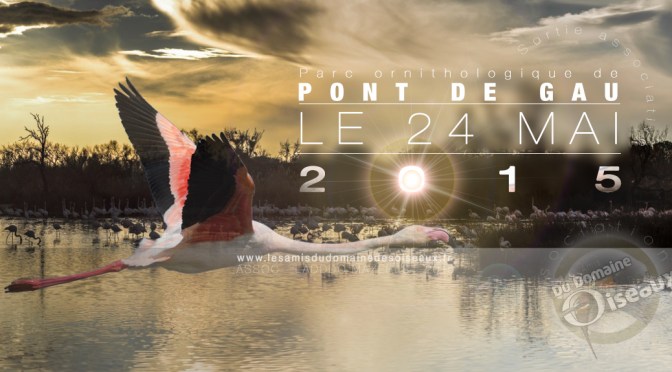 Sortie associative – Pont de Gau 24 mai 2015