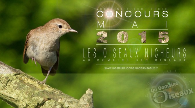Concours photo – MAI 2015