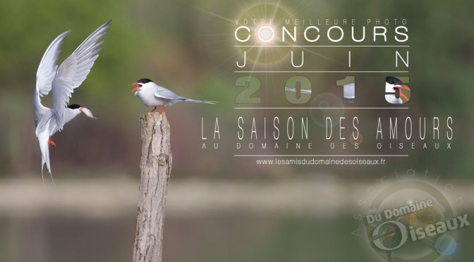 Concours photo – JUIN 2015