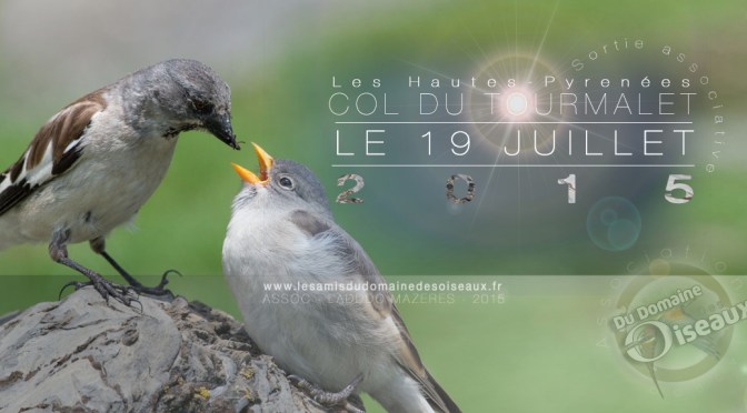 SORTIE ASSOCIATIVE COL DU TOURMALET 19 JUL 2015