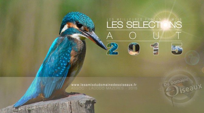 SELECTIONS PHOTOS AOUT 2015