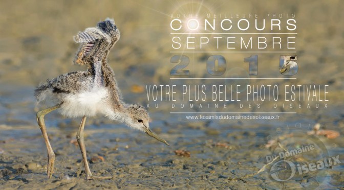 Concours photo – SEPTEMBRE 2015
