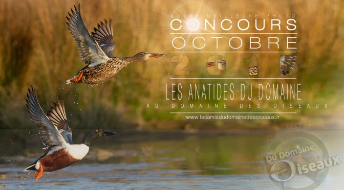 Concours photos – OCTOBRE 2015