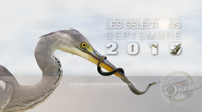 SELECTIONS PHOTOS SEPTEMBRE 2015