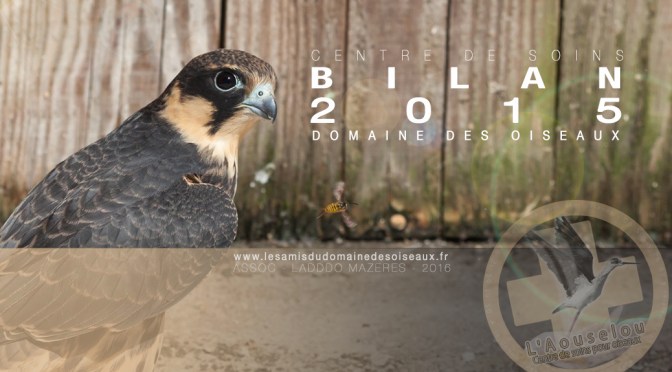 Centre de soins – Bilan 2015