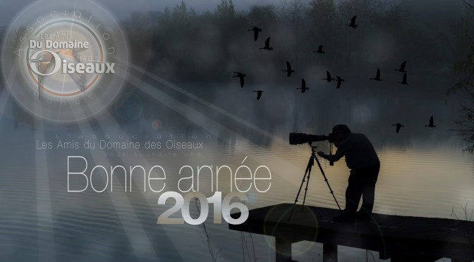 BONNE ANNEE 2016