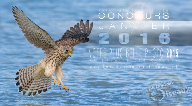 Concours photo JAN/FEV 2016