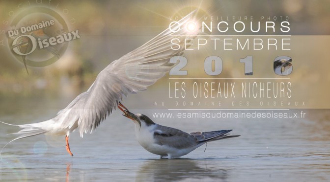 Concours photo Sep/Oct 2016