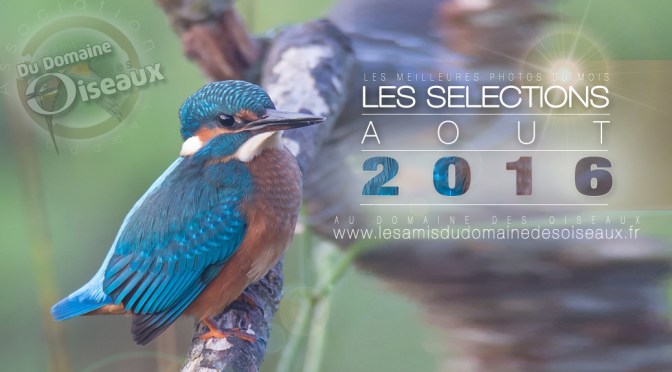 SELECTIONS PHOTO AOUT 2016
