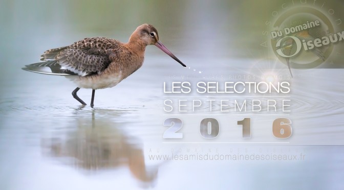 SELECTIONS PHOTO SEPTEMBRE 2016