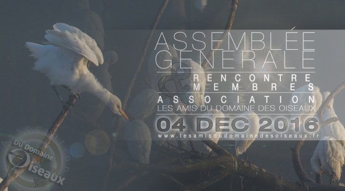 ASSEMBLÉE GÉNÉRALE et RENCONTRE MEMBRES le 04 DEC 2016