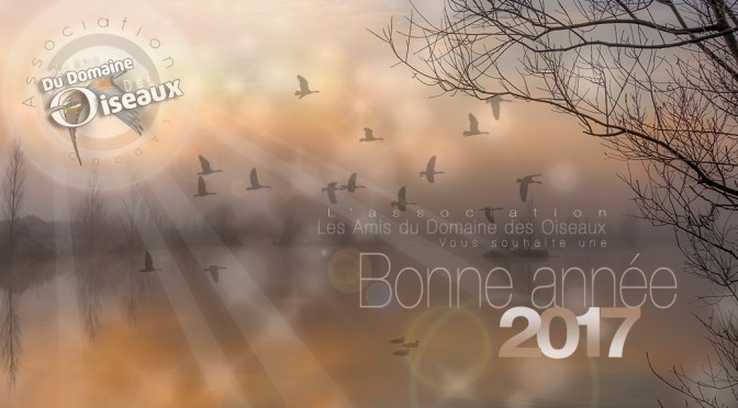 Bonne année 2017 !