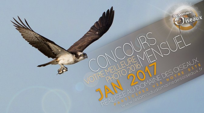 CONCOURS PHOTO JANVIER 2017