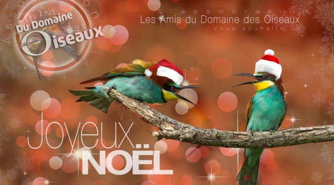 Joyeux Noël !