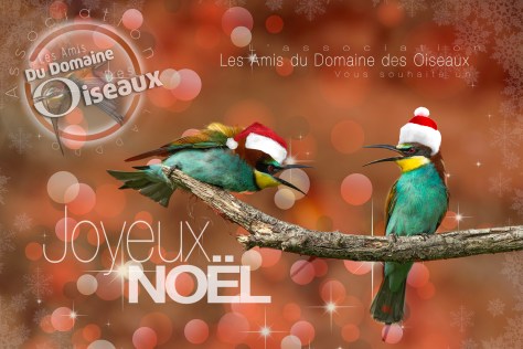 joyeux-noel-2016-carte