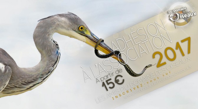 Adhésion à l&rsquo;association pour l&rsquo;année 2017