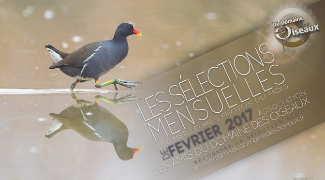 Les Sélections mensuelles FEVRIER 2017