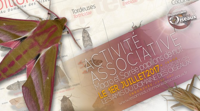 ACTIVITÉ ASSOCIATIVE – Macro et Soirée papillons de nuit 1er juillet 2017