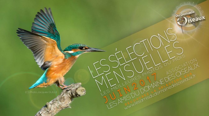 Les sélections mensuelles JUIN2017