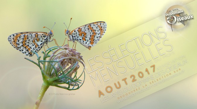 LES SÉLECTIONS PHOTOS D&rsquo;AOUT 2017