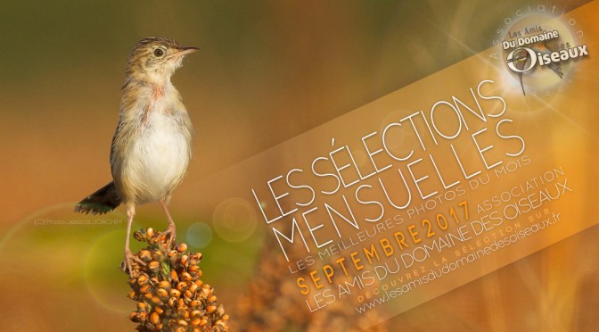 Sélections mensuelles SEP 2017