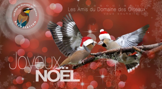 Joyeux noël !
