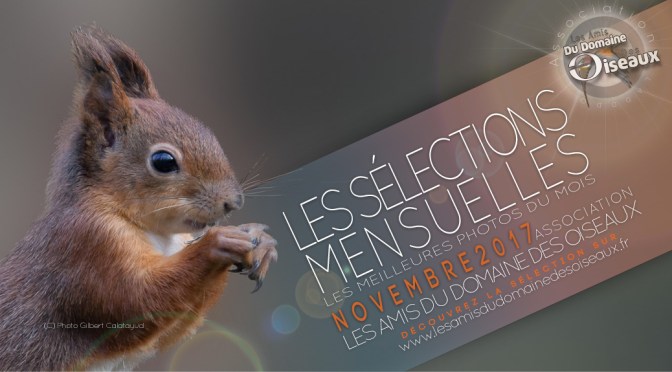 Les Sélections photos NOVEMBRE 2017