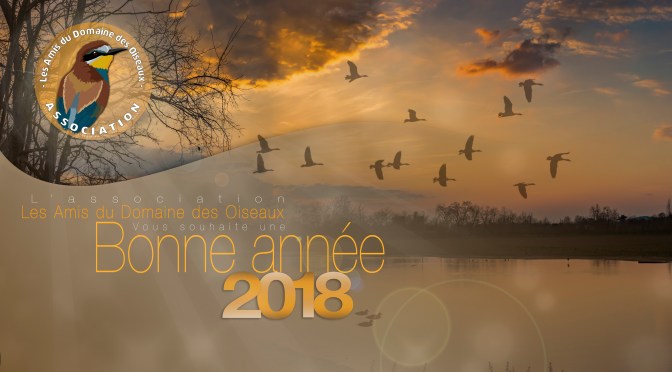 Bonne année 2018 !
